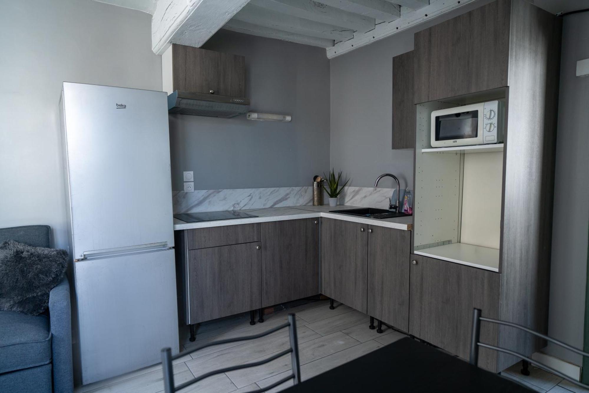Celeste Appart - Grand Appartement Centre Ville - Refait A Neuf ออร์เลออง ภายนอก รูปภาพ